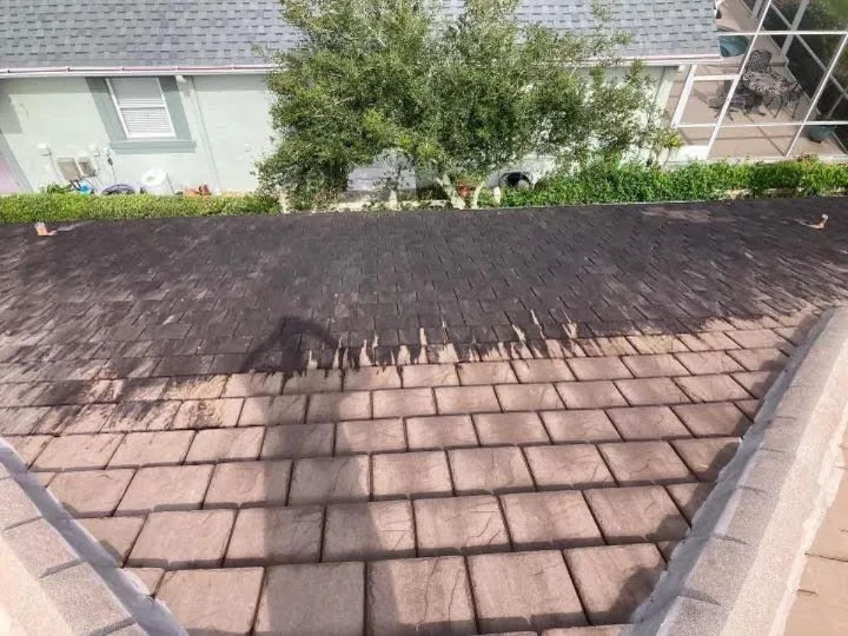 Roof soft wash before and after — moss and black algae streaks lifted from a Palm Coast shingle roof